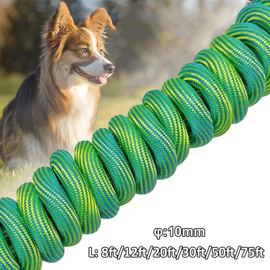 8Ft/12Ft/20Ft/30Ft/50Ft/75Ft Dog Tie-Out Long Tether Rope Dog Leash, Outdoor Dog Yard Leash- Large Medium Small Dogs Training, Playing, Camping,Backyard