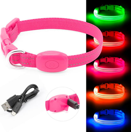 XS LED Dog Collar - Adjustable USB Rechargeable Glowing Pet Collar, Light up Collars for Small Dogs& Cats