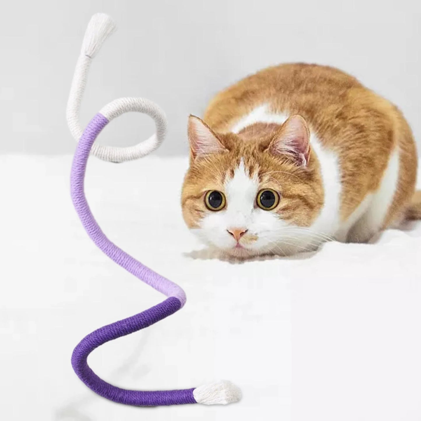 Cat Toy Bite Rope Funny Wear Resistant Home Portable Educational Toys Multipurpose Pet Chew Toy for Small Animals Kitten Puppy Accessories