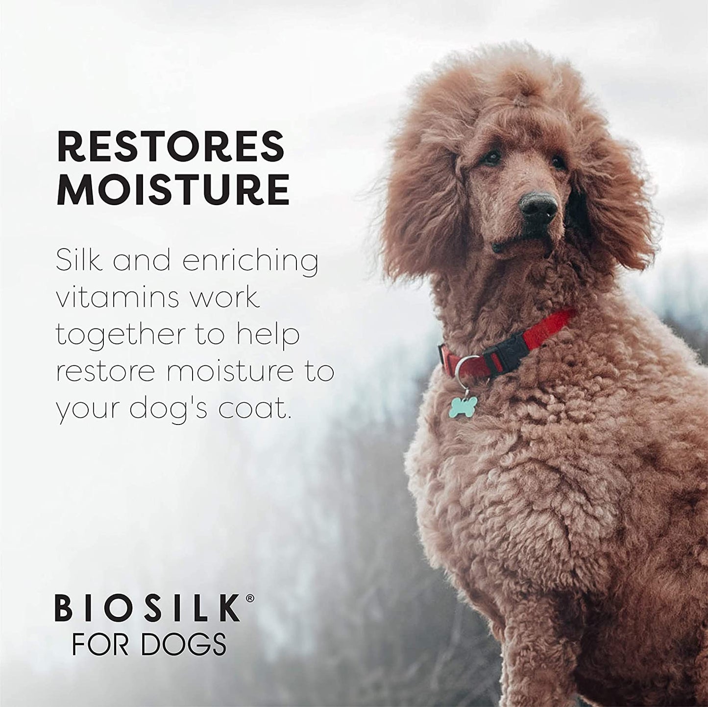 for Dogs Silk Therapy Shampoo with Natural Coconut Oil | Coconut Dog Shampoo