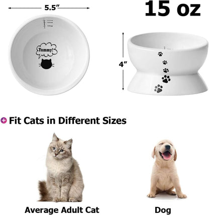 Elevated Cat Food Bowl, Raised Pet Food and Water Bowl, Cat and Small Dog Bowl, Tilted Ceramic Cat Water Bowl No Spill,15Oz, Dishwasher Safe