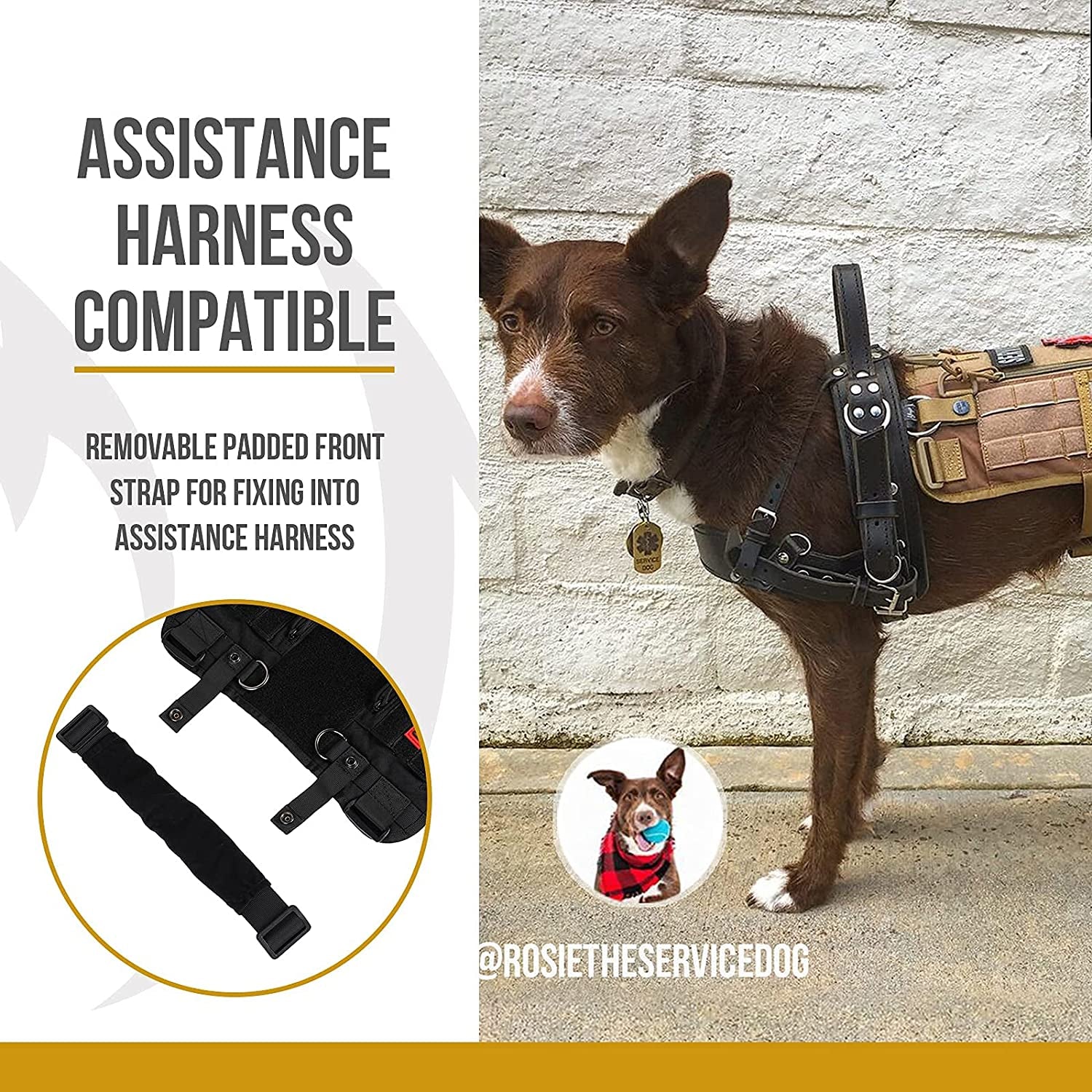 Service Dog Harness No-Pull Dog Harness Adjustable Comfort Pet Dog Vest Harness for Outdoor Walking (Black, Long Version)