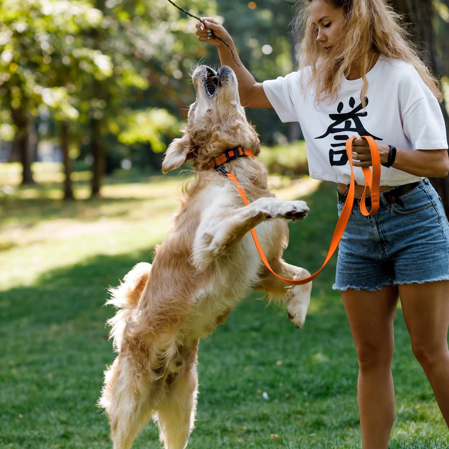 Reflective Dog Collar for a Small, Medium, Large Dog or Puppy with a Quick Release Buckle - Boy and Girl - Nylon Suitable for Swimming (10-13 Inch, Orange)