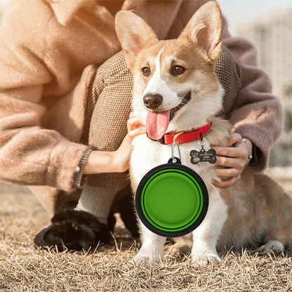 Large Collapsible Dog Bowls, 34Oz Travel Water Food Bowls Portable Foldable Collapse Dishes with Carabiner Clip, 2 Pack (Green+Blue)