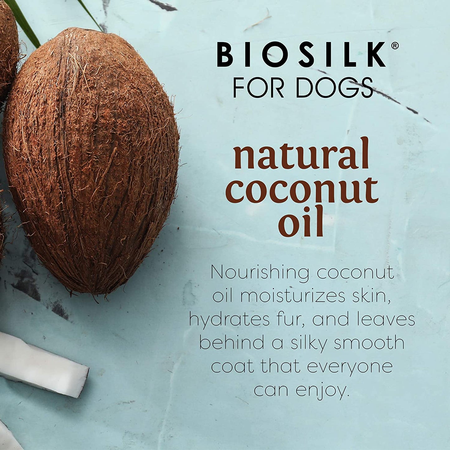 for Dogs Silk Therapy Shampoo with Natural Coconut Oil | Coconut Dog Shampoo