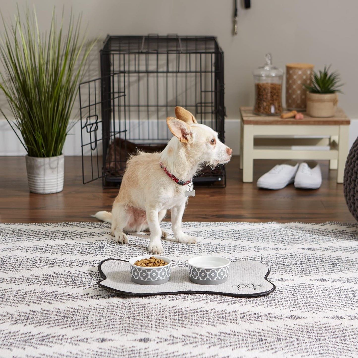 Lattice Collection Pet Bowl & Canister, Canister