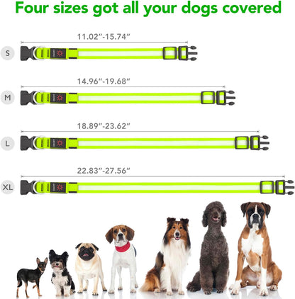 LED Dog Collar, Light up Dog Collar Adjustable USB Rechargeable Super Bright Safety Light Glowing Collars for Dog(Small,Green)